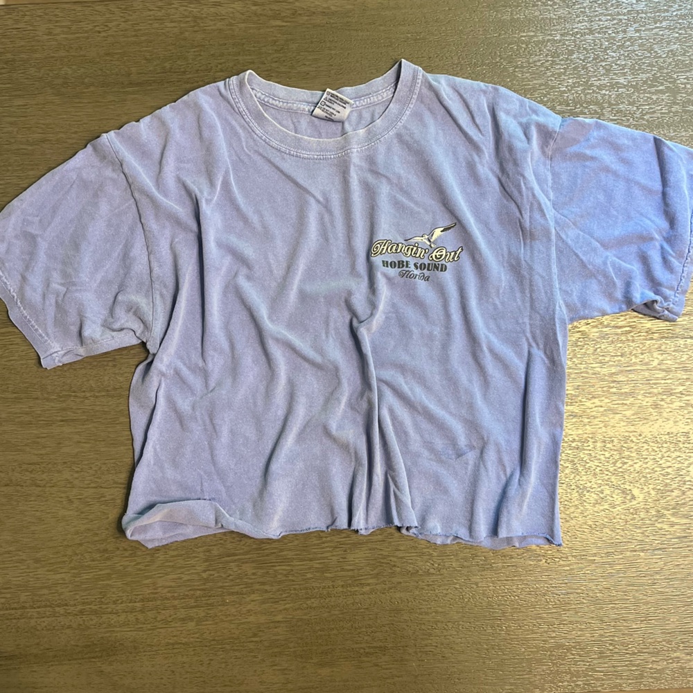 "Hangin' Out" Graphic Cropped Tee | Periwinkle | Size L